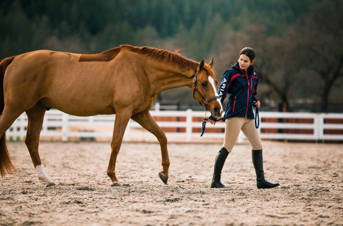 12 Best Horse Riding Boots – Farm House Tack