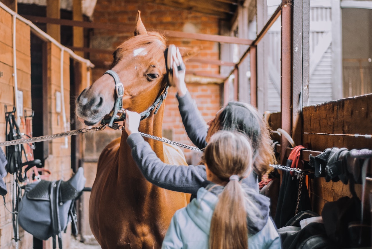 How To Tie Up A Horse: An Expert Guide