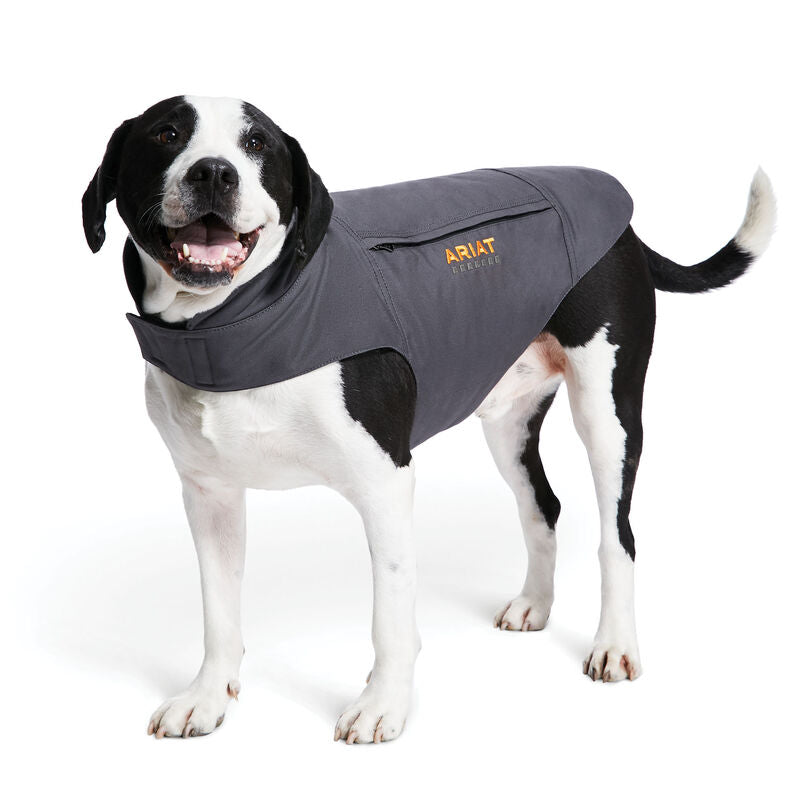 Insulated sales dog coat