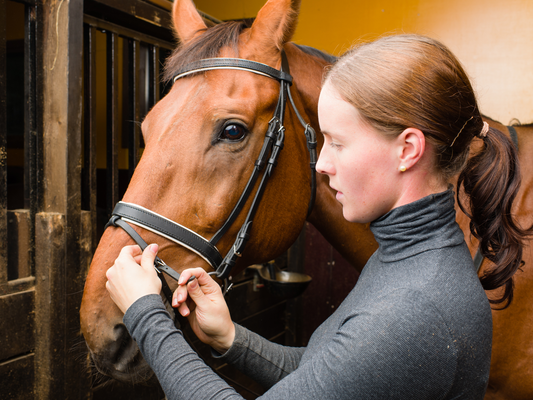 A young woman fits her brown horse with an English bridle