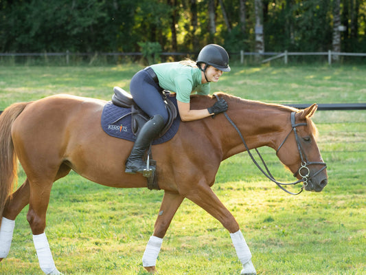 Favorite Breeches From Farm House Tack Staff!