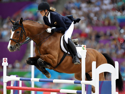 A chestnut horse and rider clear a jump at the Olympics