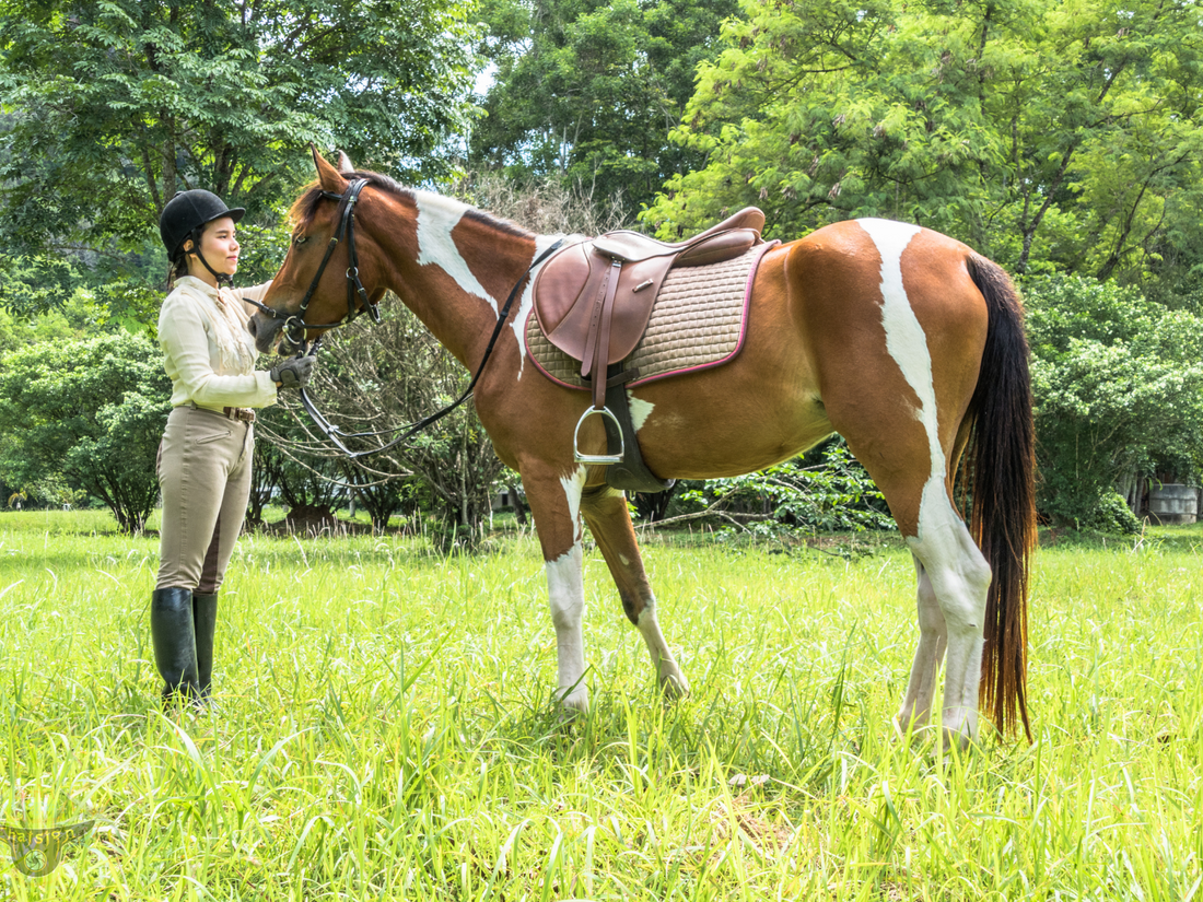 Young rider with her horse