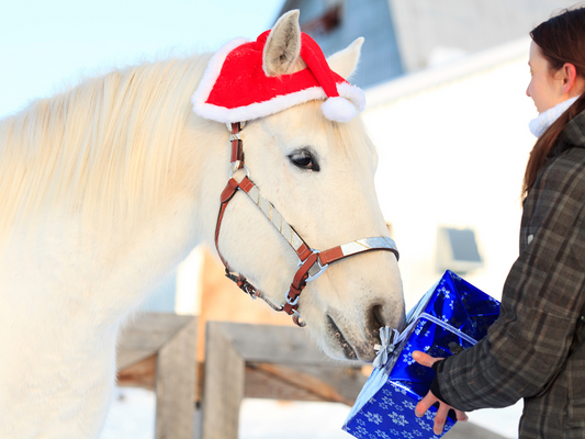 Woman gives gift to her horse