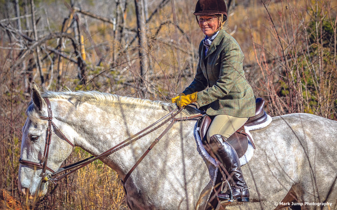 Pelham Bits: Everything You Need To Know | Farm House Tack