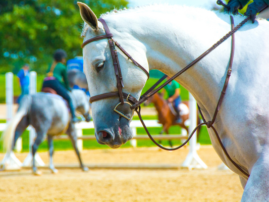 Pony Finals Packing List Plus Your Downloadable Pony Finals Checklist