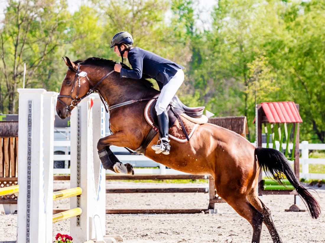 A rider in a blue jacket atop a chenut horse soaring over a jump