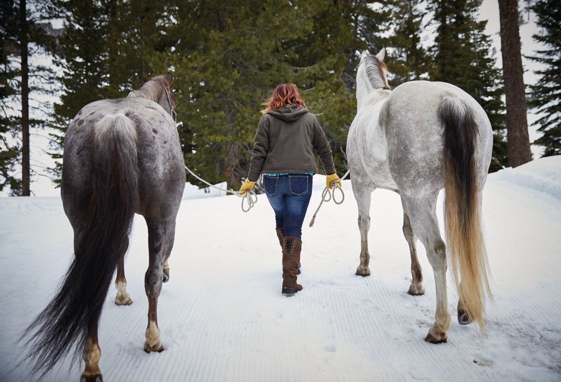 Top Ariat Picks: Farm House Tack Staff Favorites