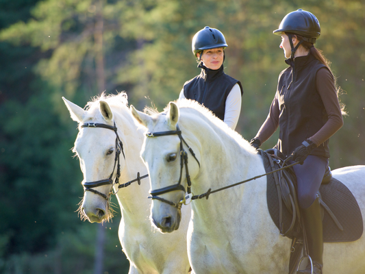 Two women wearing helmets and vests chat atop their white horses