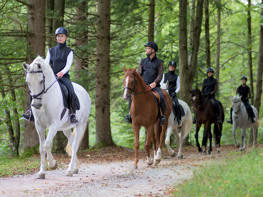 A group of riders enjoy trail riding in the woods