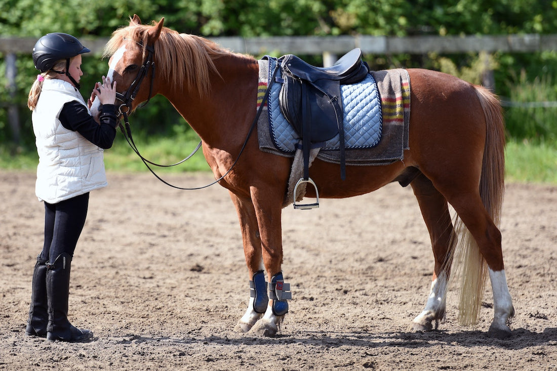 The Purpose of Horse Shoes: Complete Beginner's Guide