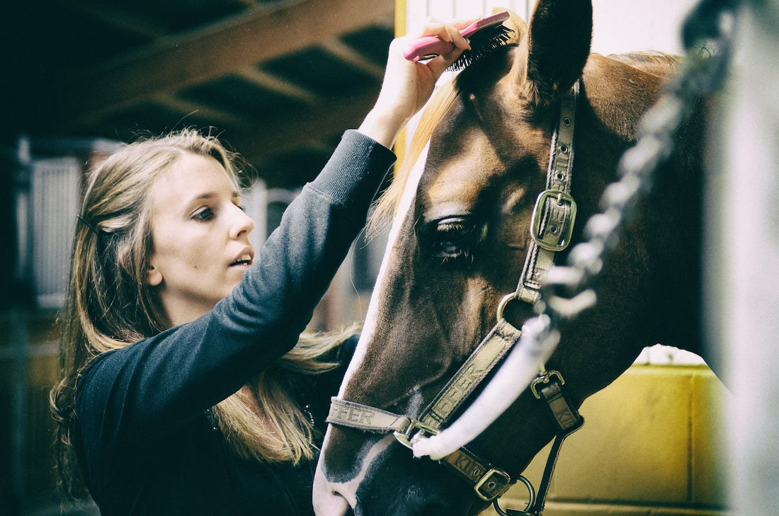 Grooming: Caring For and Enhancing Your Horse's Tail