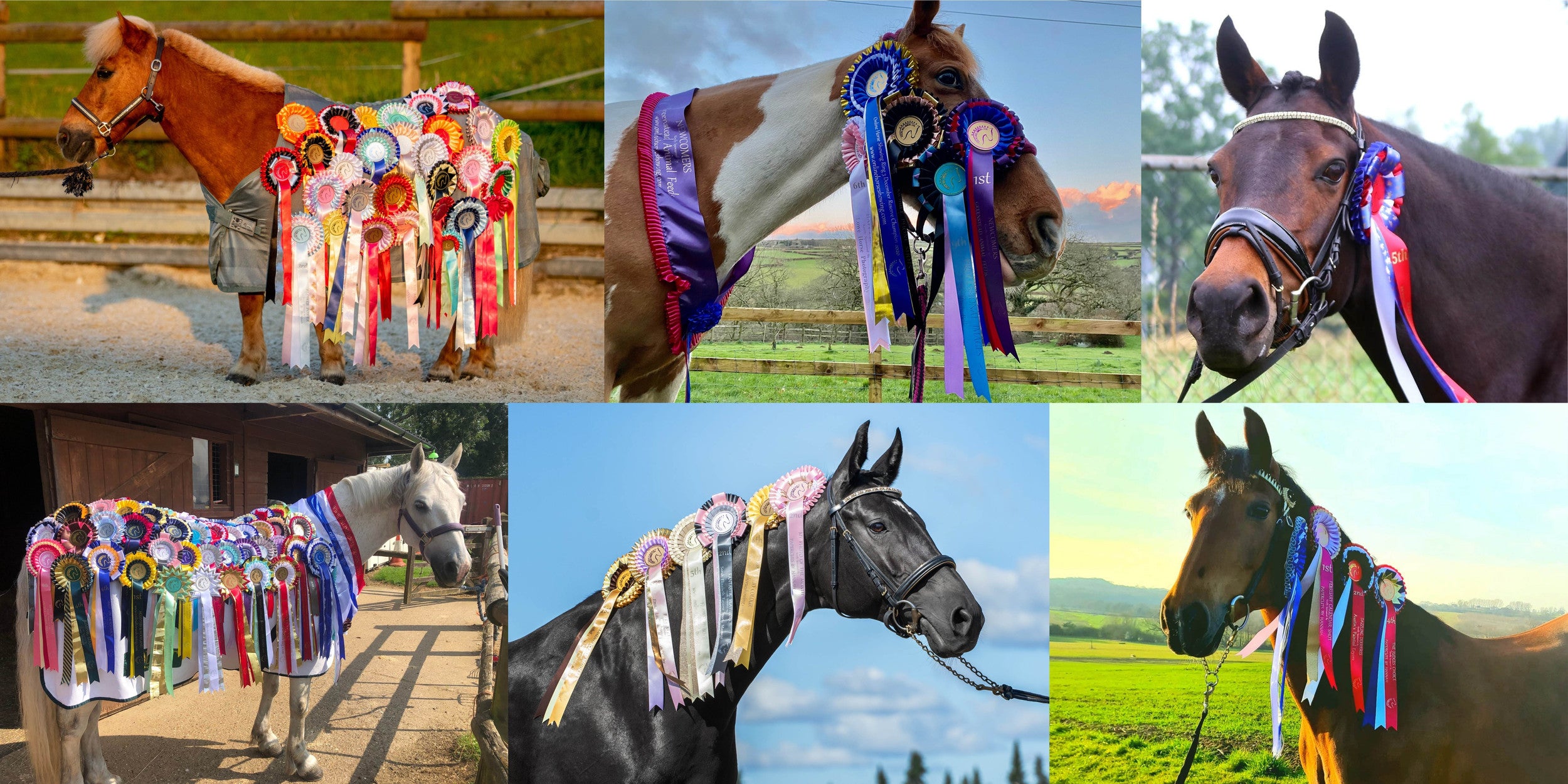 Horsey Father's Day gifts for the horsey and un-horsey | Horse & Hound