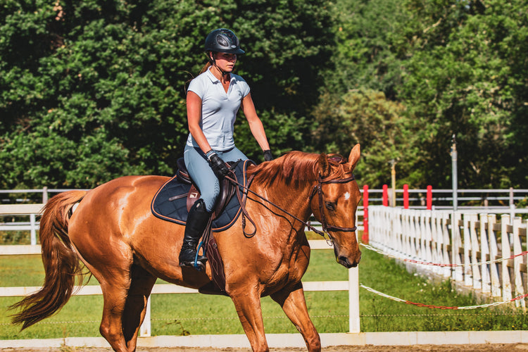 Caring For Your Horse On a Hot Day – Farm House Tack