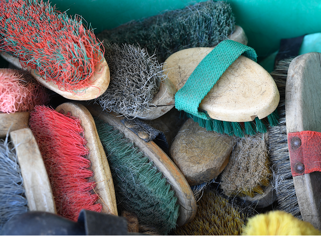 Essential brushes for your tack trunk, at home and at shows.