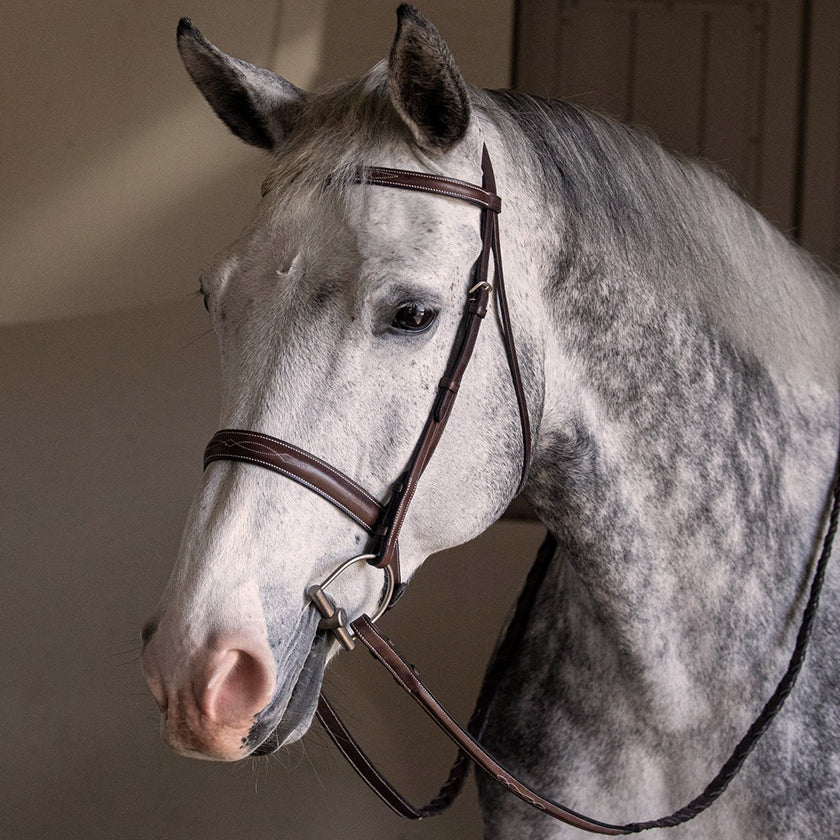 Horse Tack Supplies Equestrian Shop The Farm House Farm