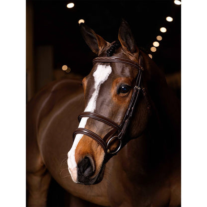 LeMieux Kudos Double Noseband Bridle