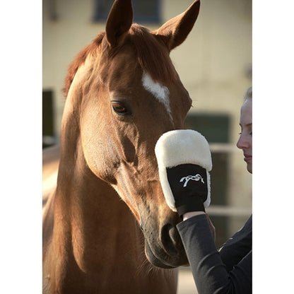 Penelope Grooming Glove