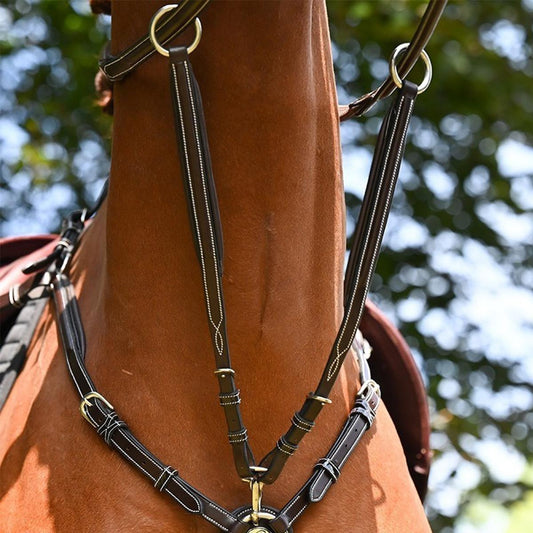 Jump'in Wednesday Martingale Attachment - Week Collection