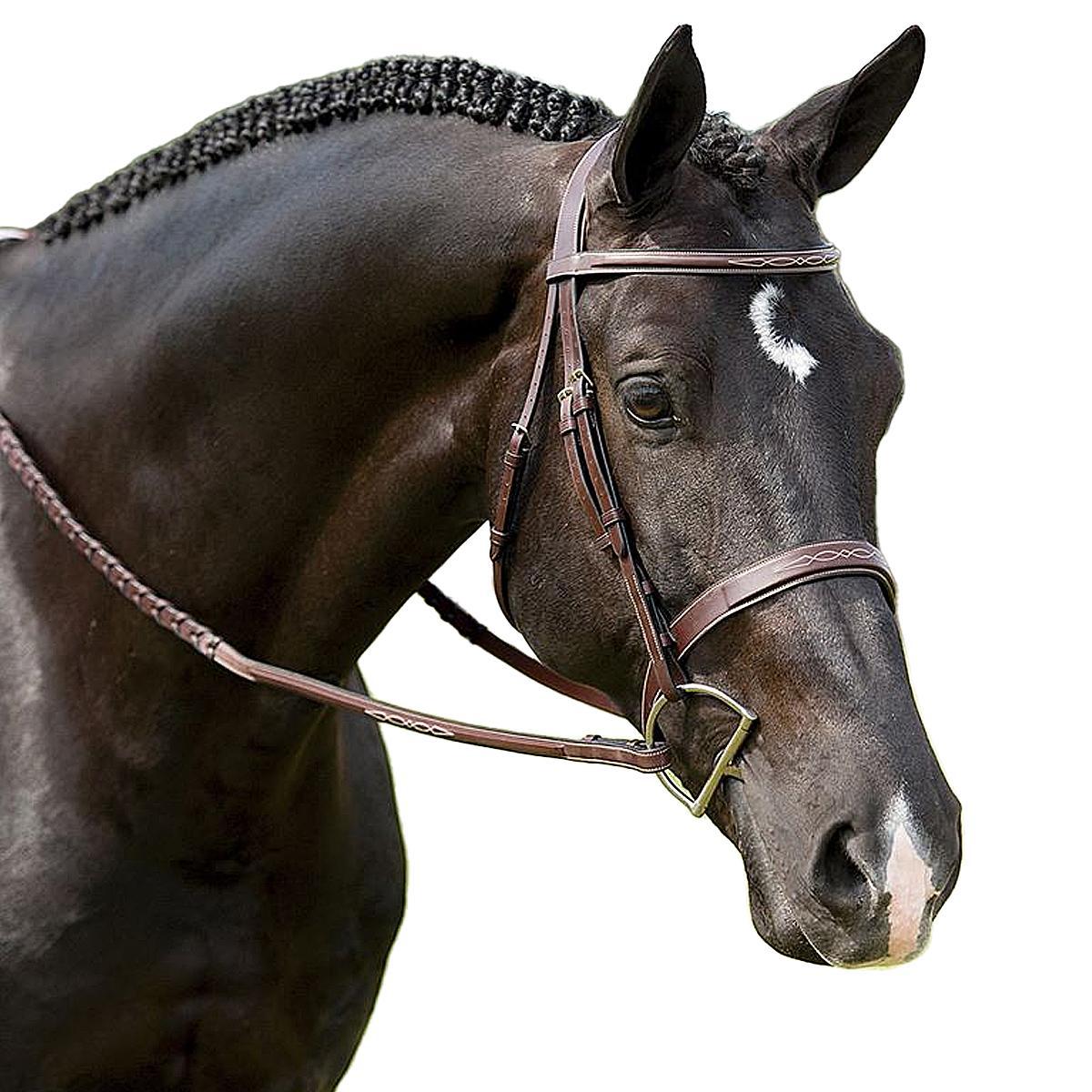 Dy'on Fancy Stitch Wide Noseband Bridle