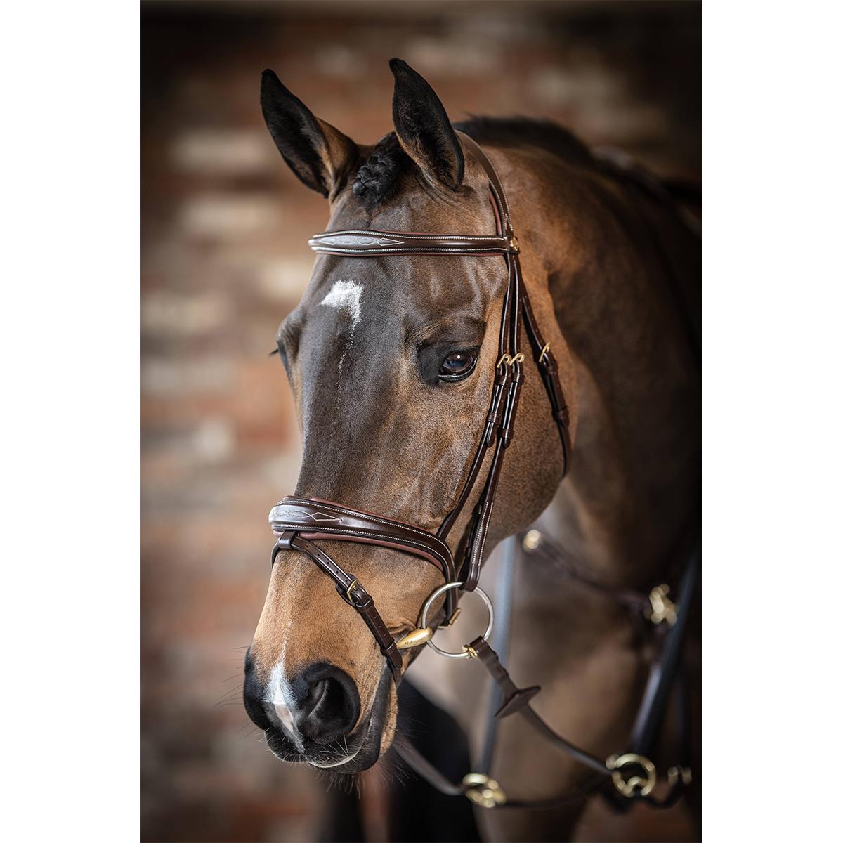 LeMieux Kudos Competition Flash Bridle