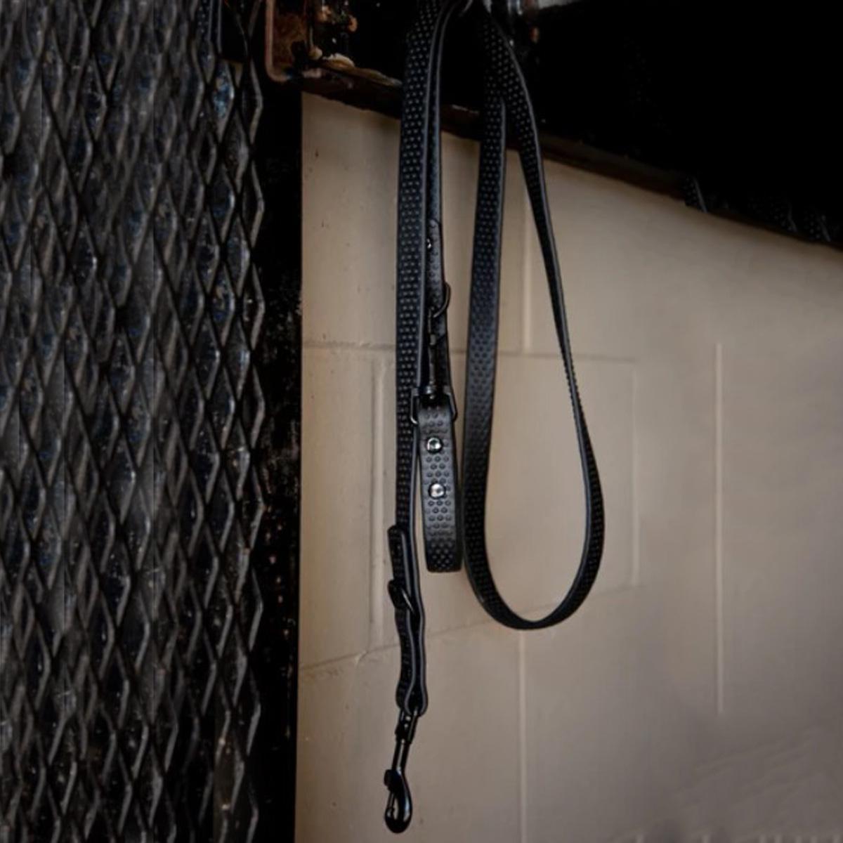 ACE Equestrian Com4rt Grip Dog Leash