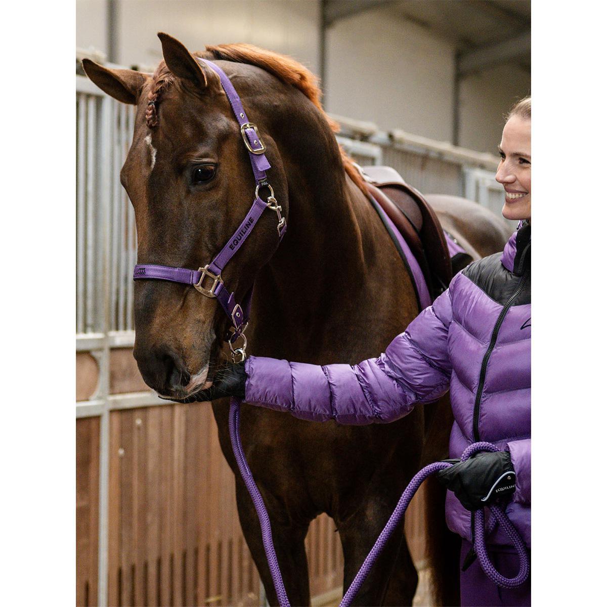 Equiline Cuates Halter and Lead Rope Set