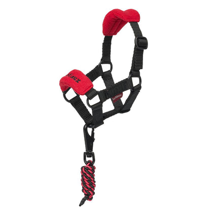 LeMieux Toy Pony Vogue Headcollar with Lead Rope