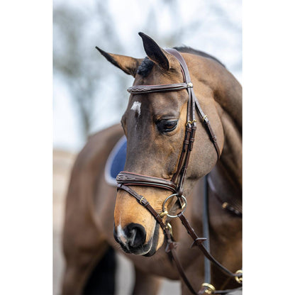 LeMieux Kudos Competition Flash Bridle