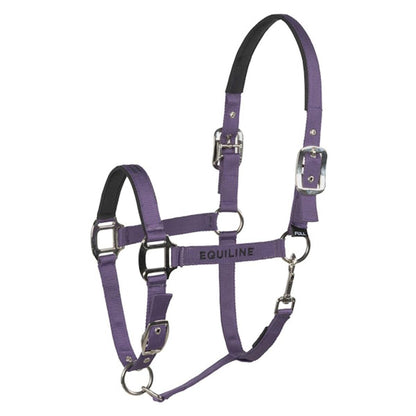 Equiline Cuates Halter and Lead Rope Set