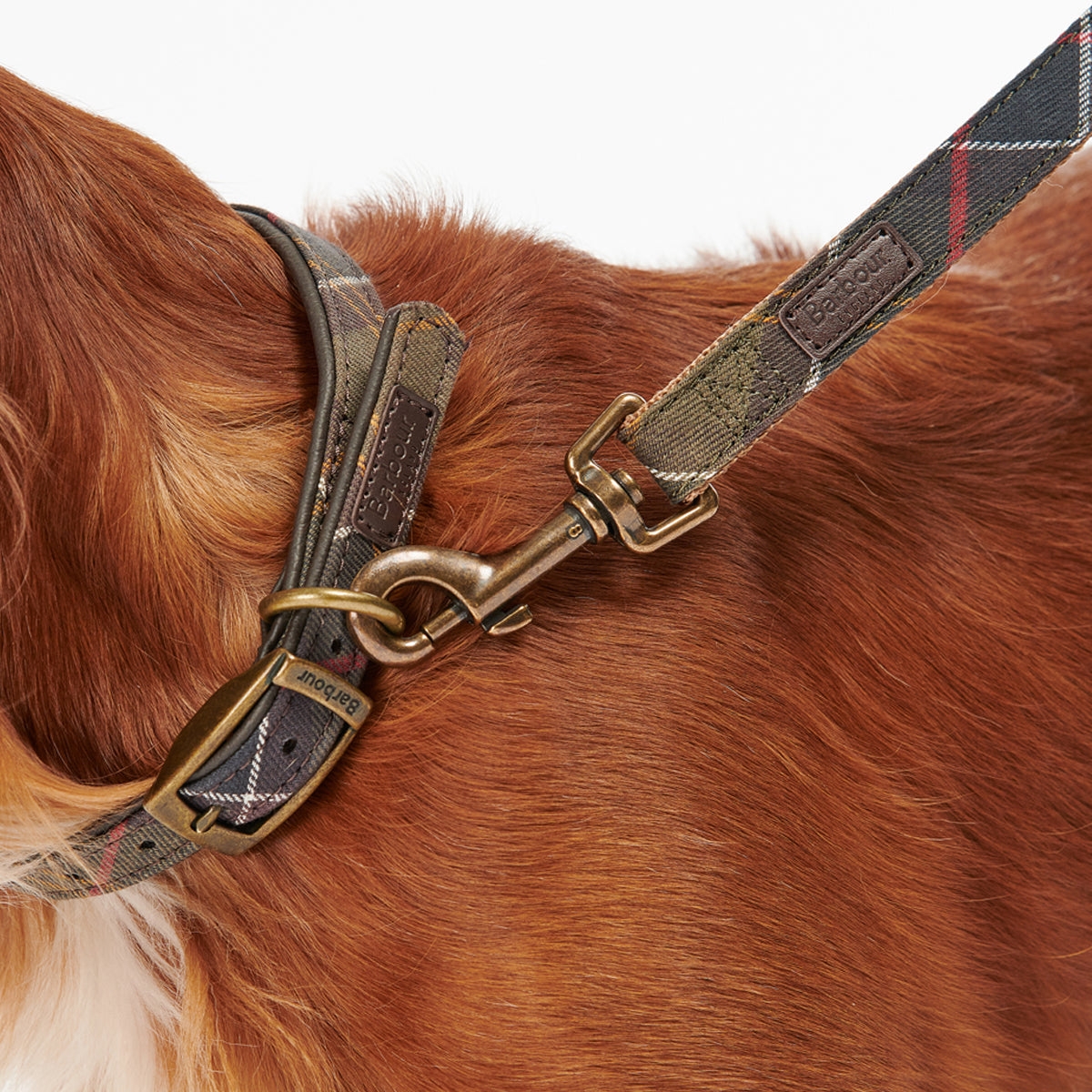 Barbour collar and clearance lead