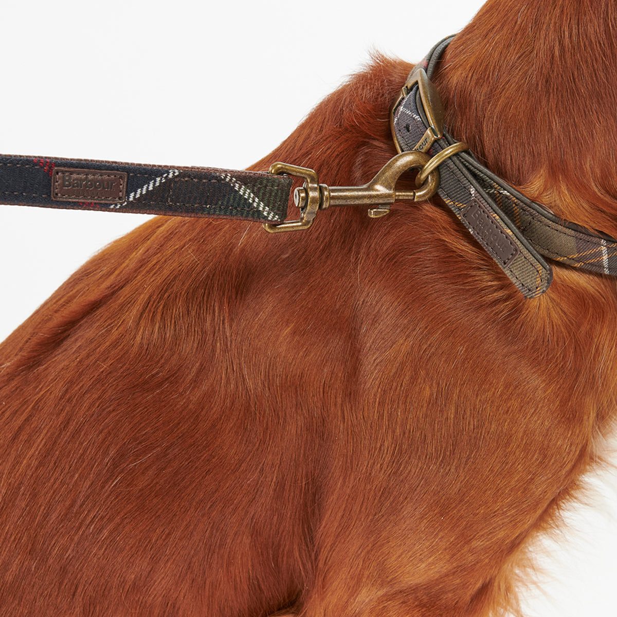 Tartan dog shop collar and lead