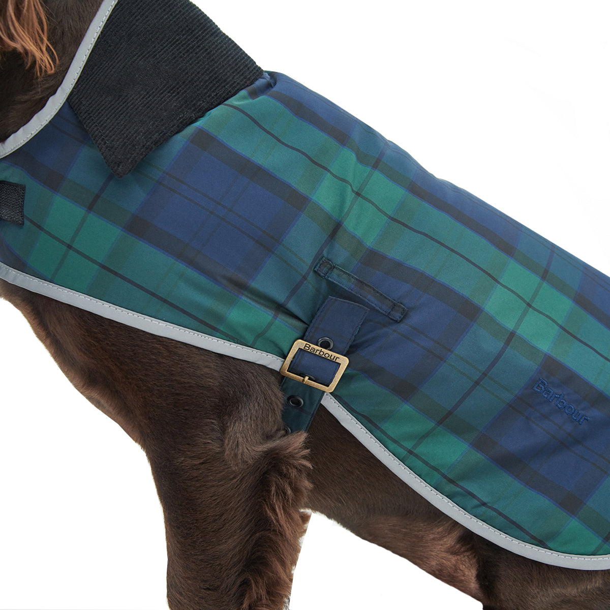 Blue tartan deals dog coat