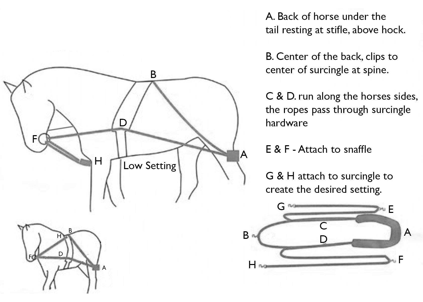 FarmHouseTack Pessoa Lunging System Attachment Instructions