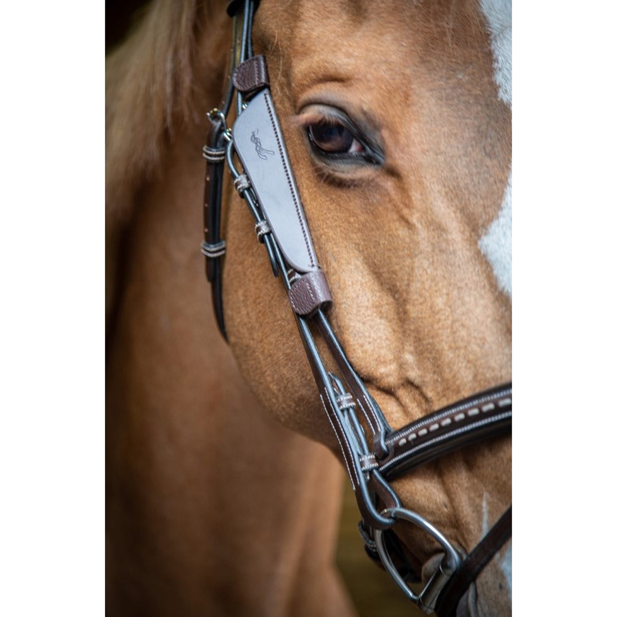 Blinkers (horse tack) - Wikipedia