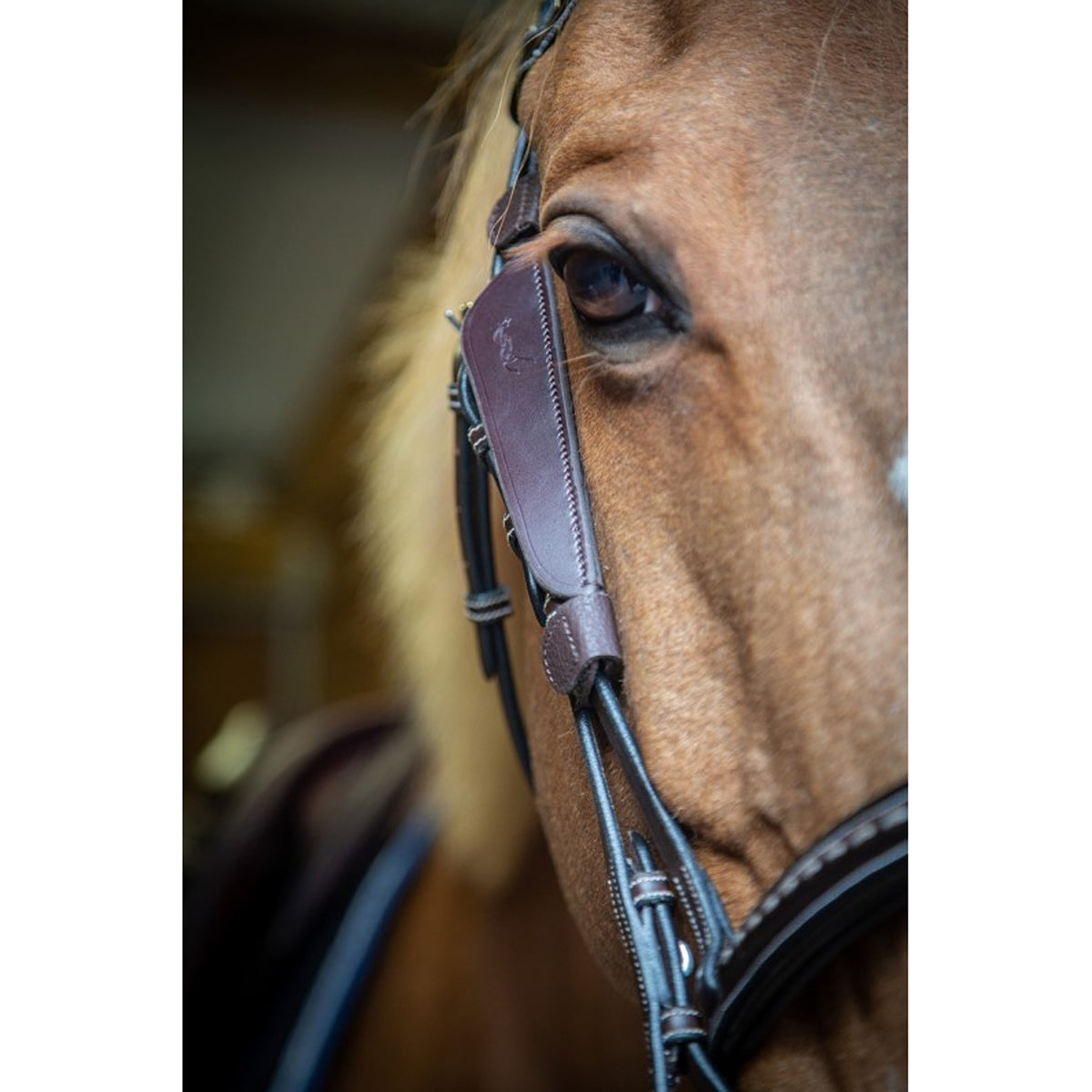 Blinkers (horse tack) - Wikipedia