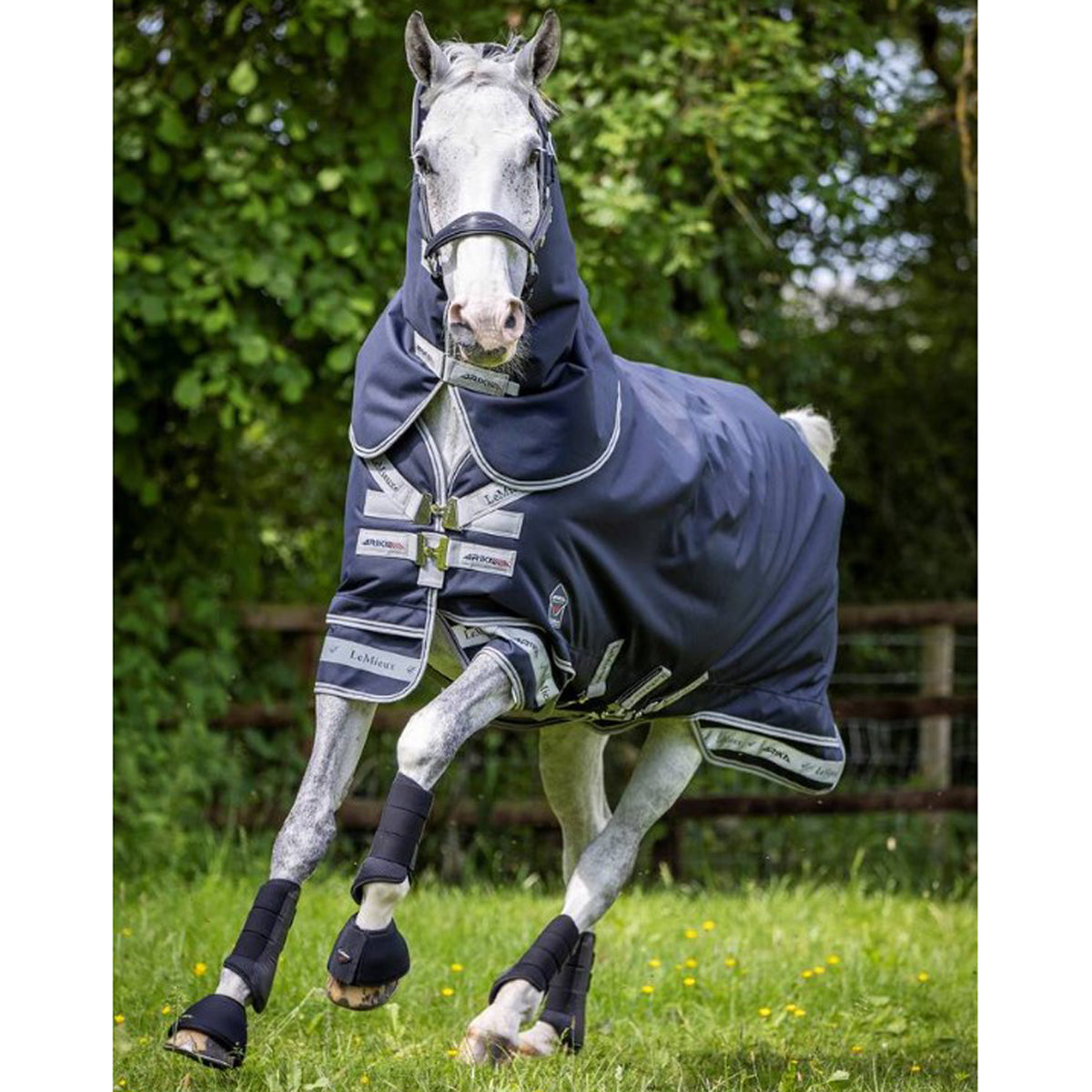 LeMieux® Toy Pony Storm-Tek Rug