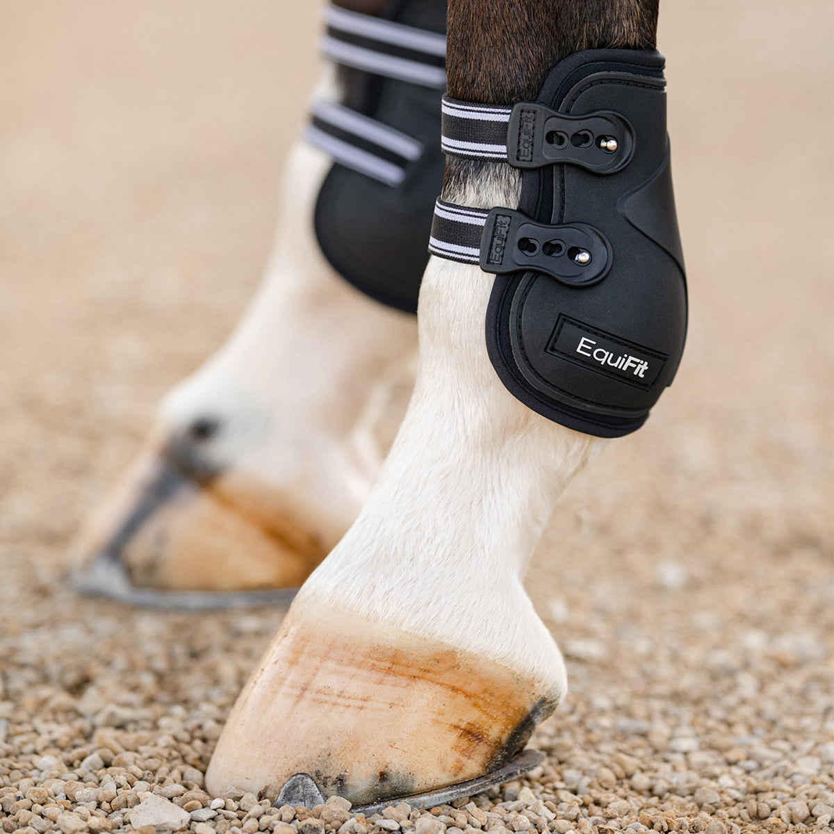 Equifit Prolete Hind Boot with Elastic Straps Farm House Tack