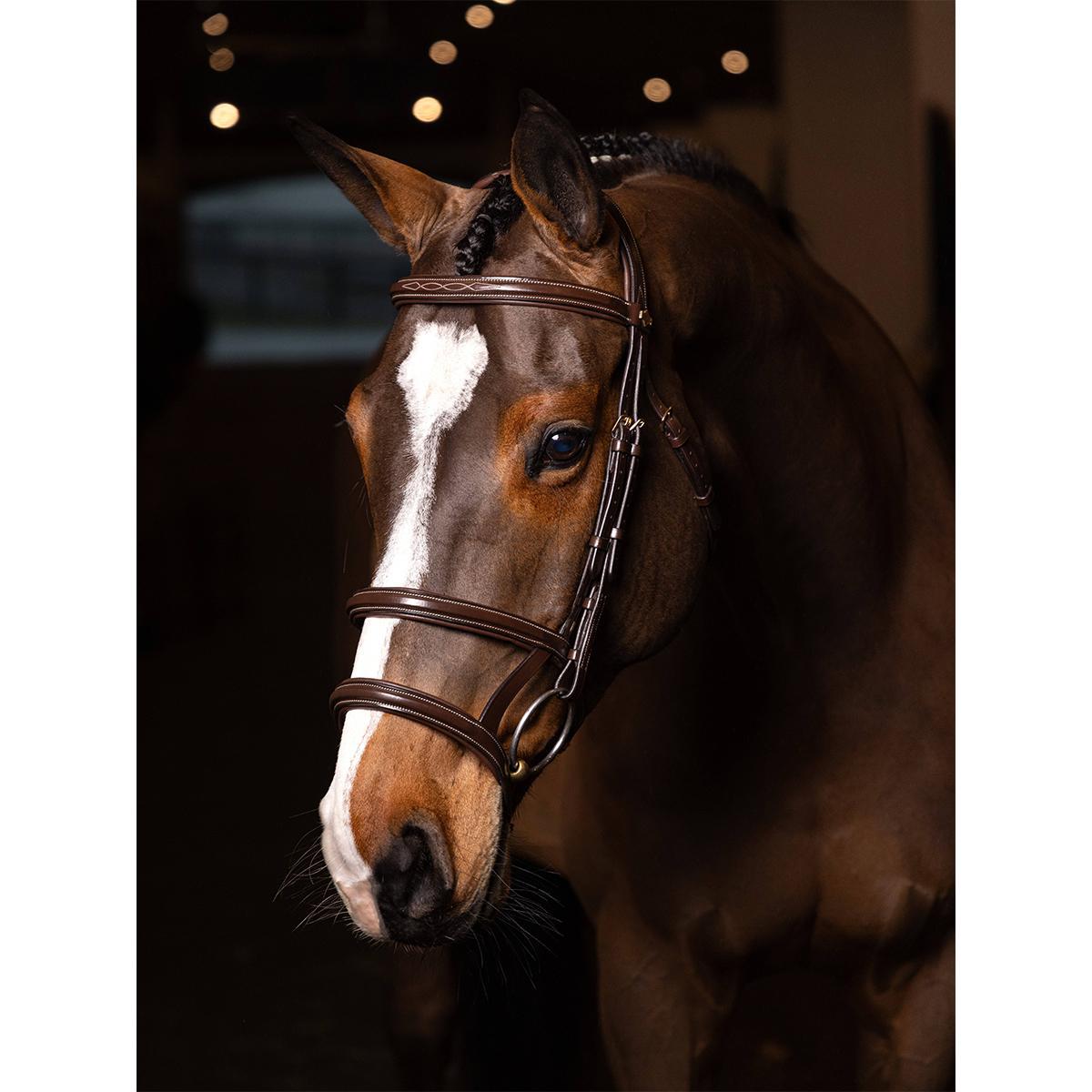 LeMieux Kudos Double Noseband Bridle