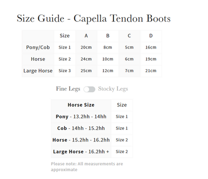 LeMieux Capella Tendon Boots