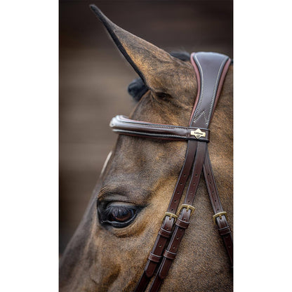 LeMieux Kudos Competition Flash Bridle