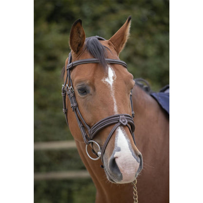 Penelope Elegance Bridle