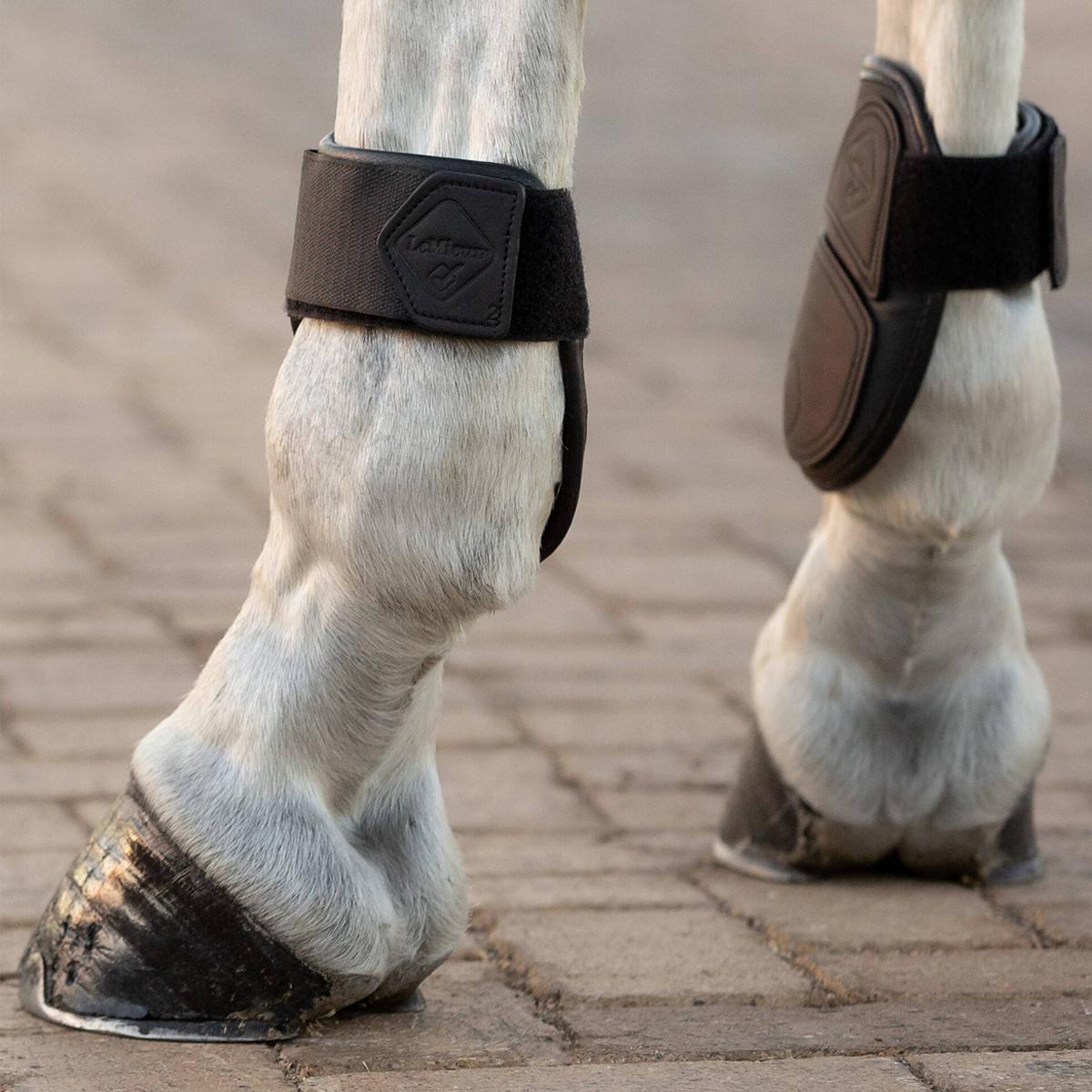 LeMieux Capella Fetlock Boots