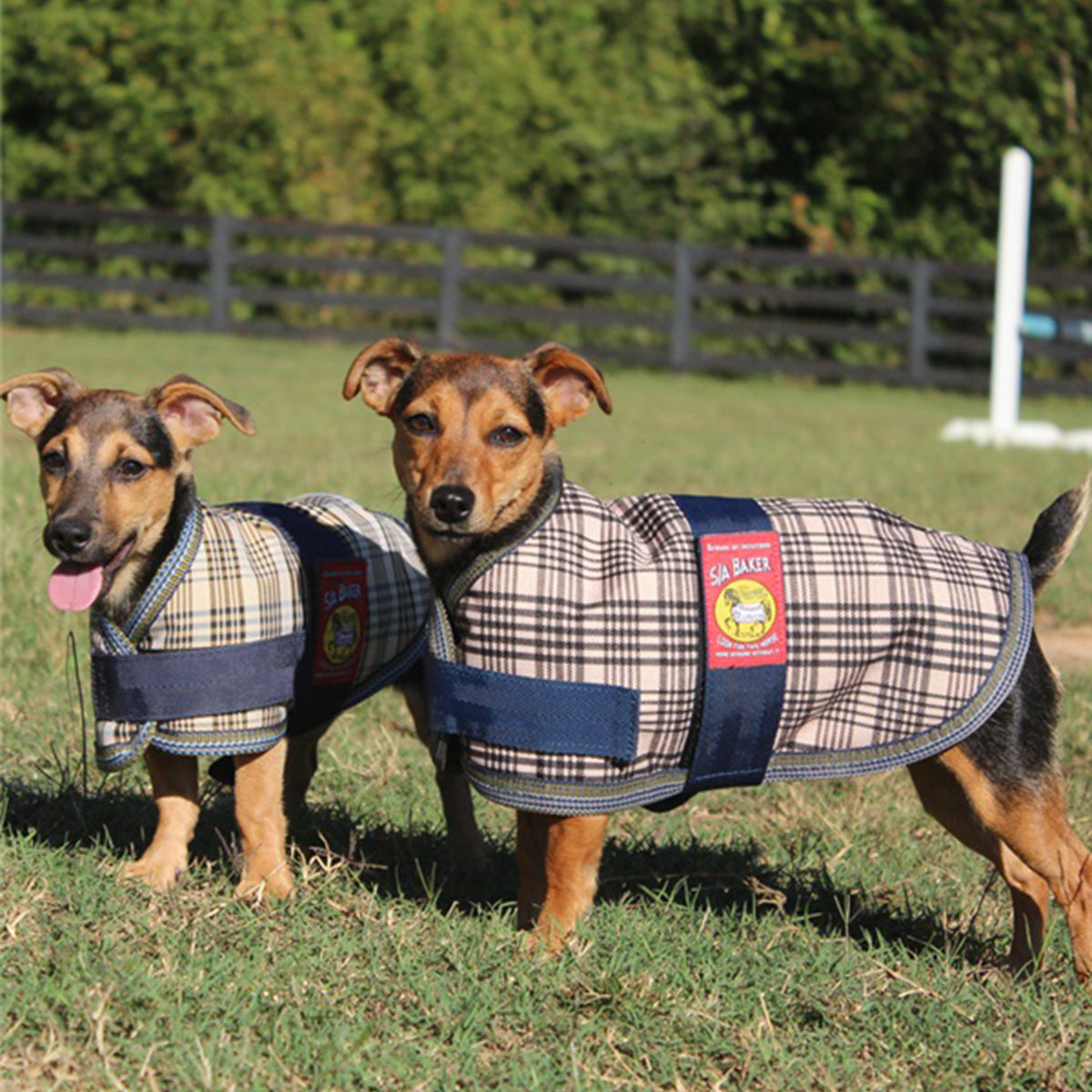 Baker tartan outlet coat