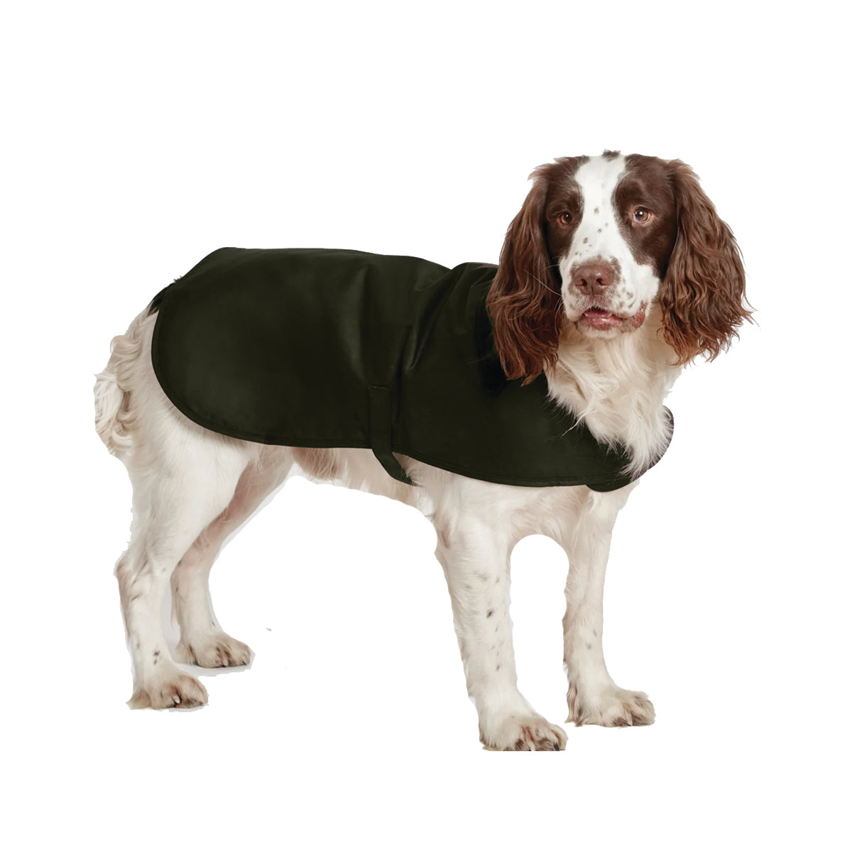 Barbour Wax Dog Coat Olive Xs