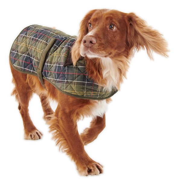 Tartan dog clearance coats for