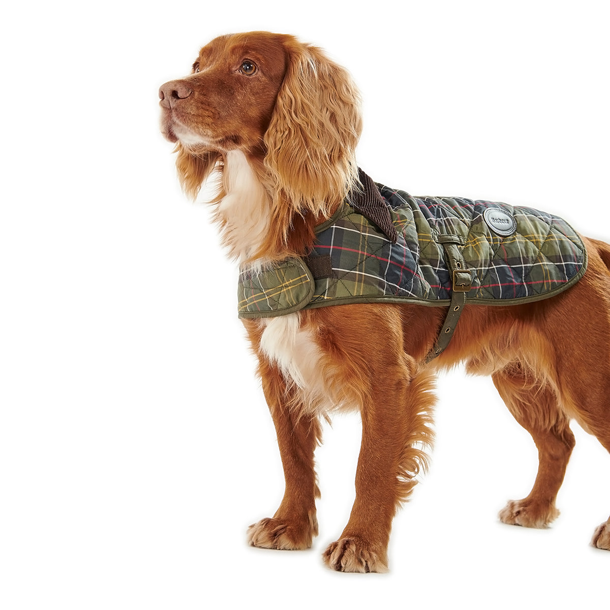 Barbour dog shop jacket sale