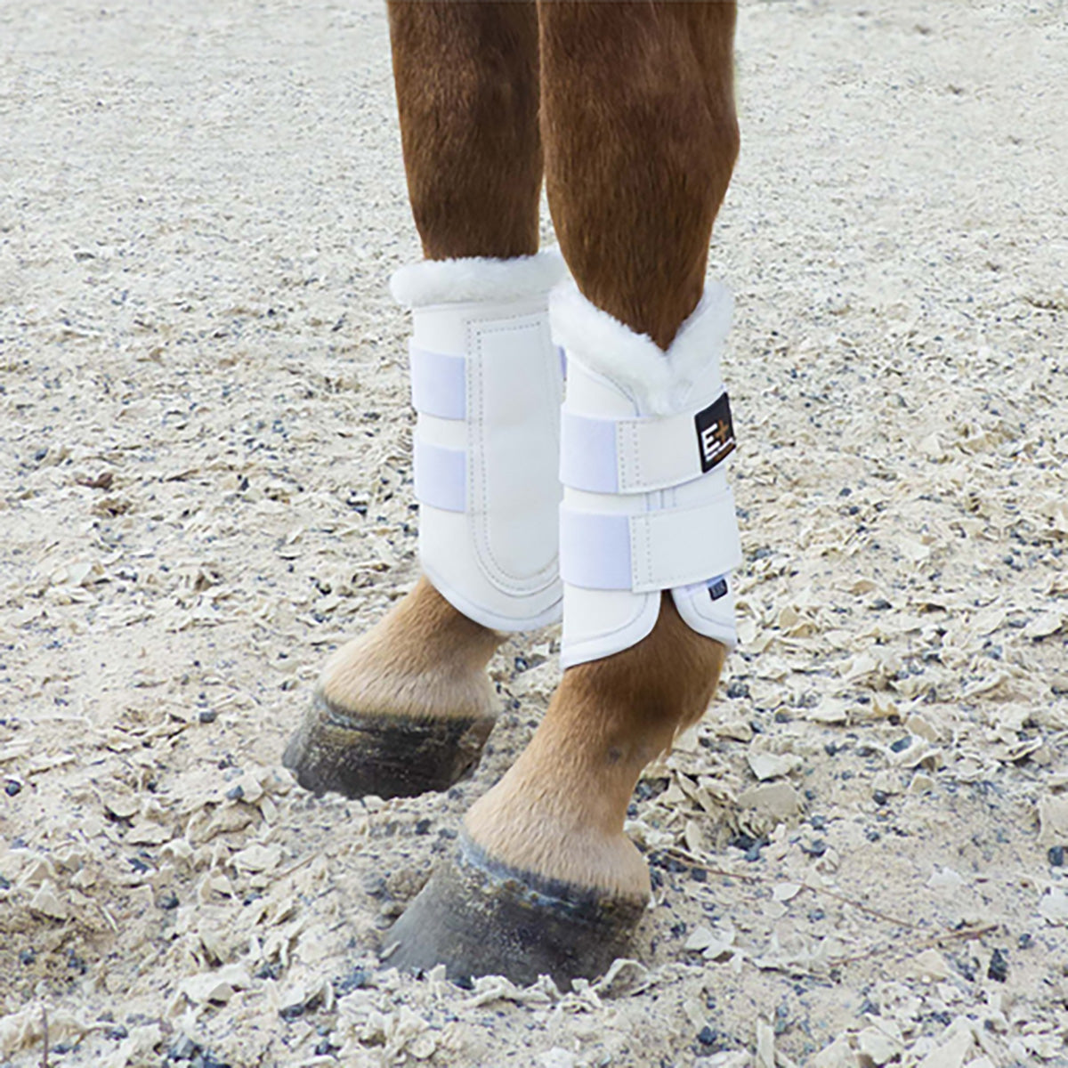 Pony dressage outlet boots