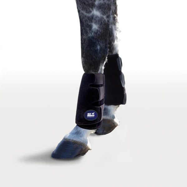 Ice Horse Knee to Ankle Wrap Farm House Tack