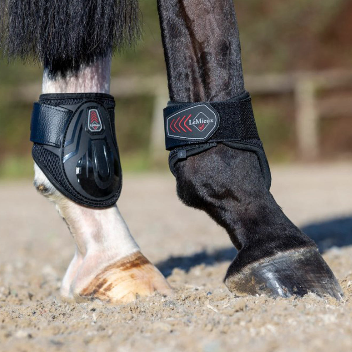 LeMieux Derby ProJump Fetlock Boot Farm House Tack